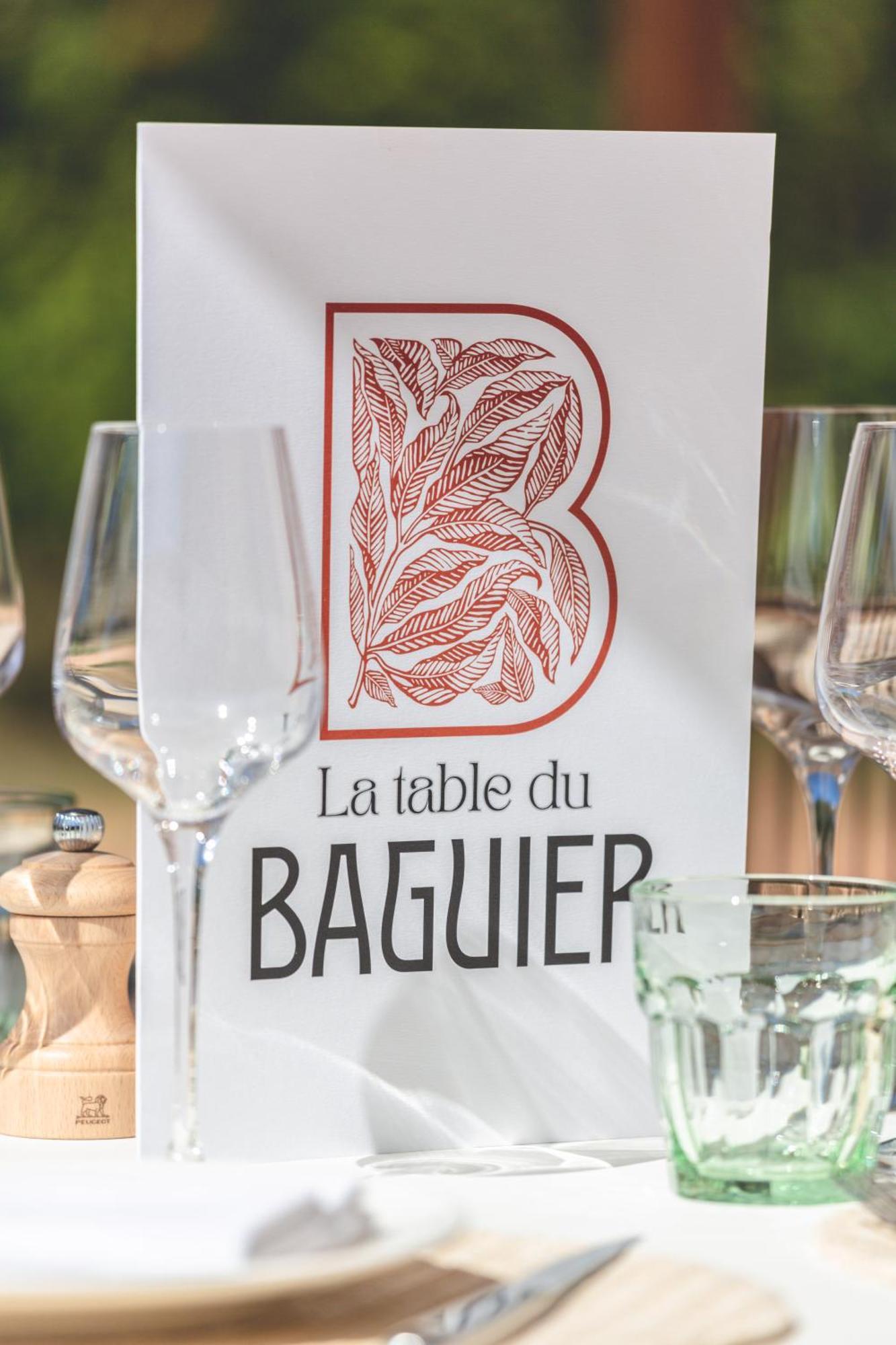 Hotel Le Baguier à La Roquebrussanne Extérieur photo